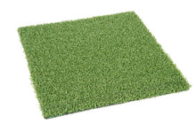 Load image into Gallery viewer, Mugga 13