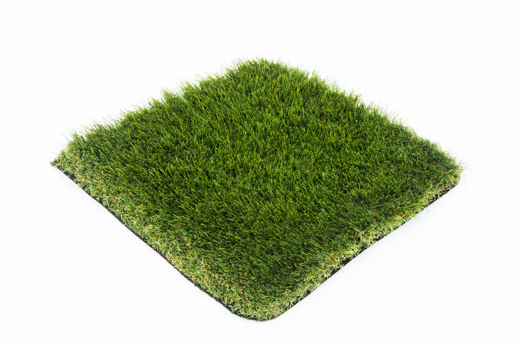 Meadow 38